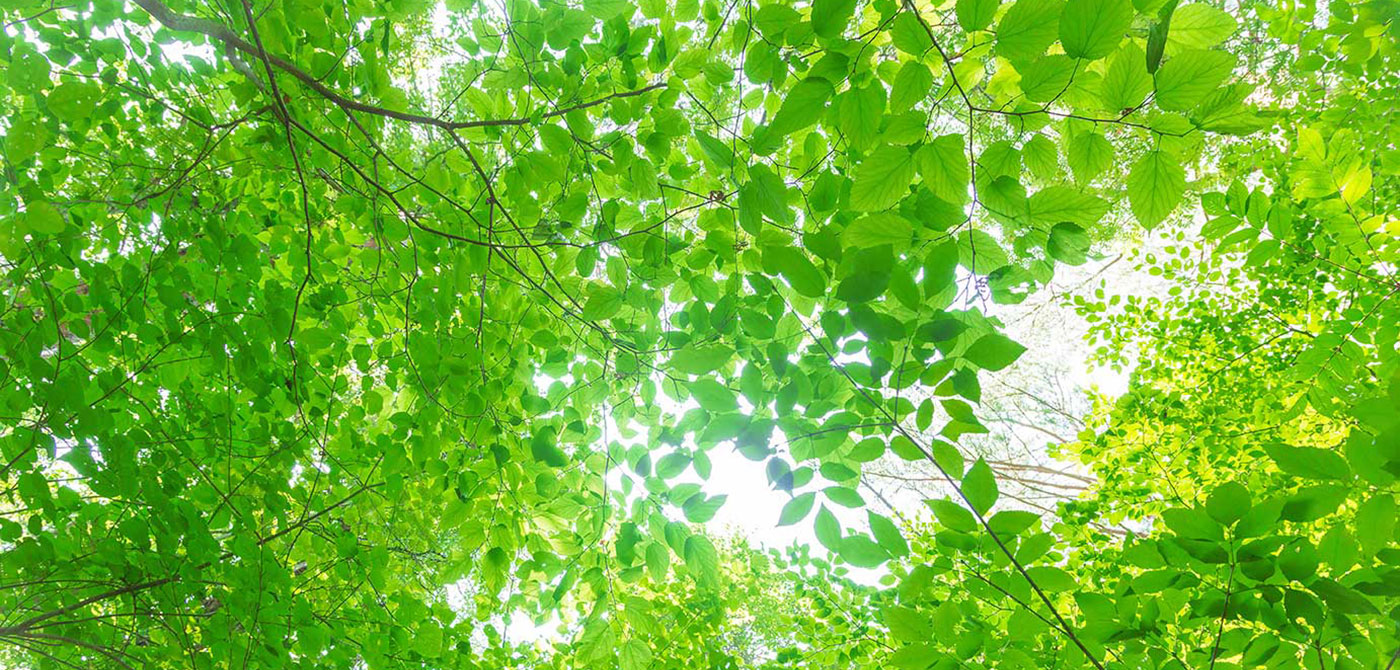 建築資材・新築リフォーム・不動産の斉藤材木店